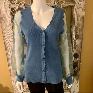 Sioni V-Neck Sweater with Sheer Sleeves